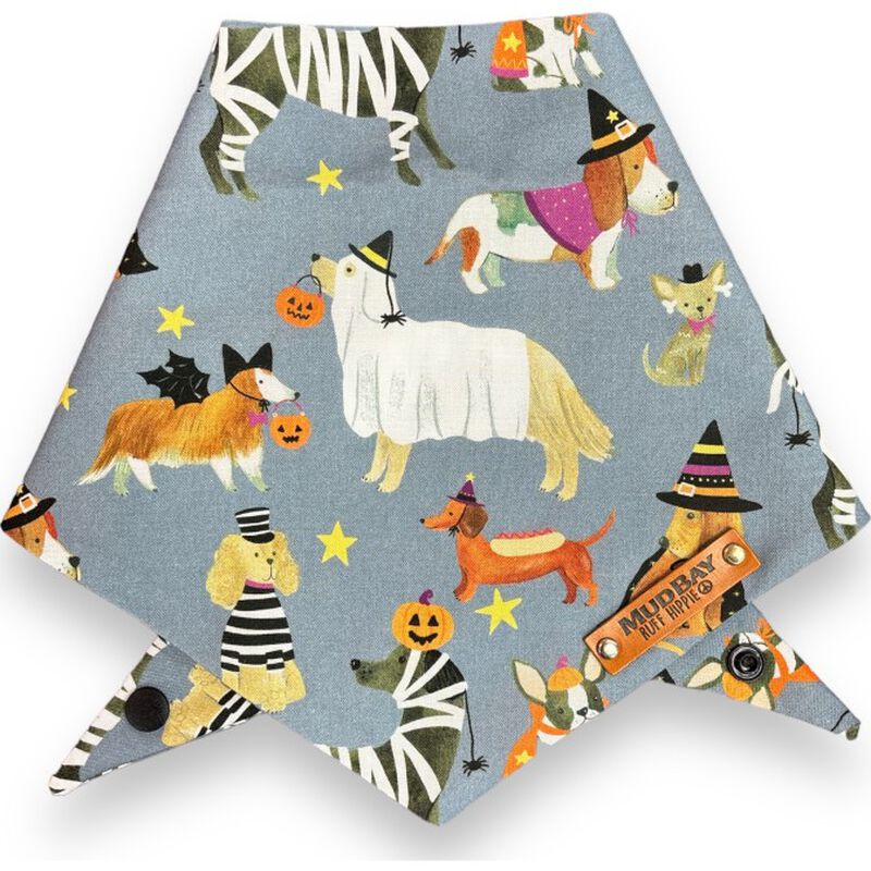 Mud Bay Dog & Cat Bandana, Too Cute to Spook image number null