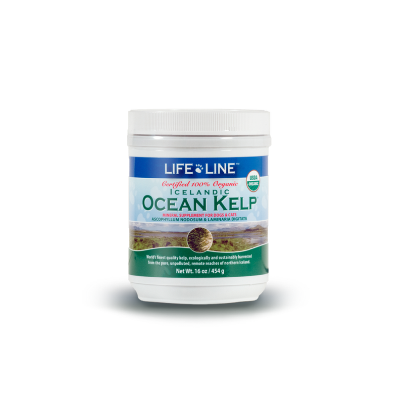 Mud Bay Buy Life Line Pet Icelandic Ocean Kelp Dog Cat Supplement 16 oz for USD 18.99 MudBay