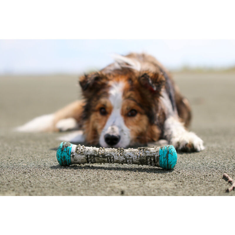 Totally Pooched Chew n' Squeak Stick Dog Toy image number null