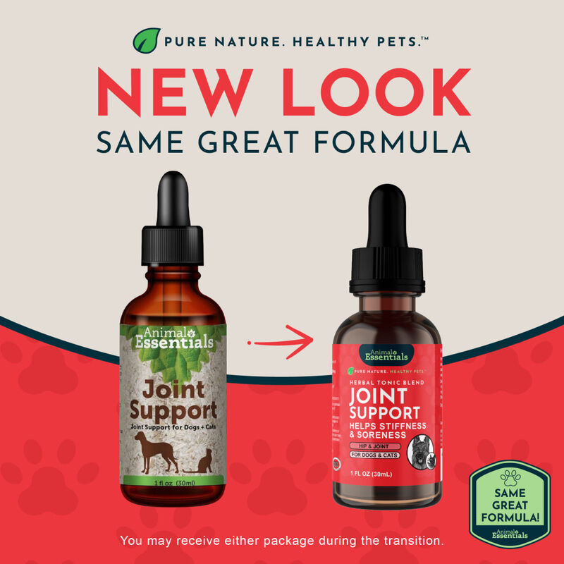 Animal Essentials Joint Support Dog & Cat Supplement, 1-oz image number null