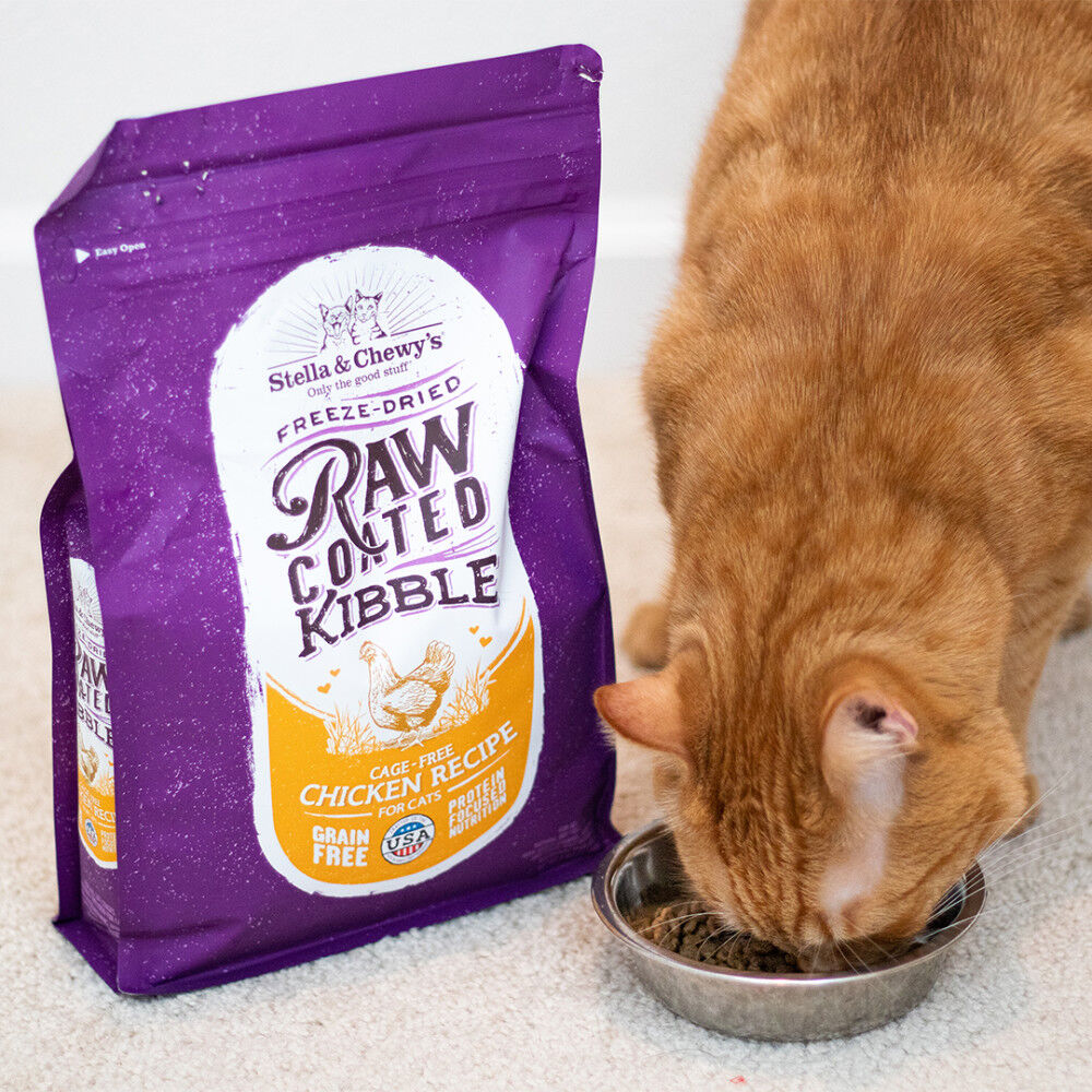 Stella and shop chewy cat kibble