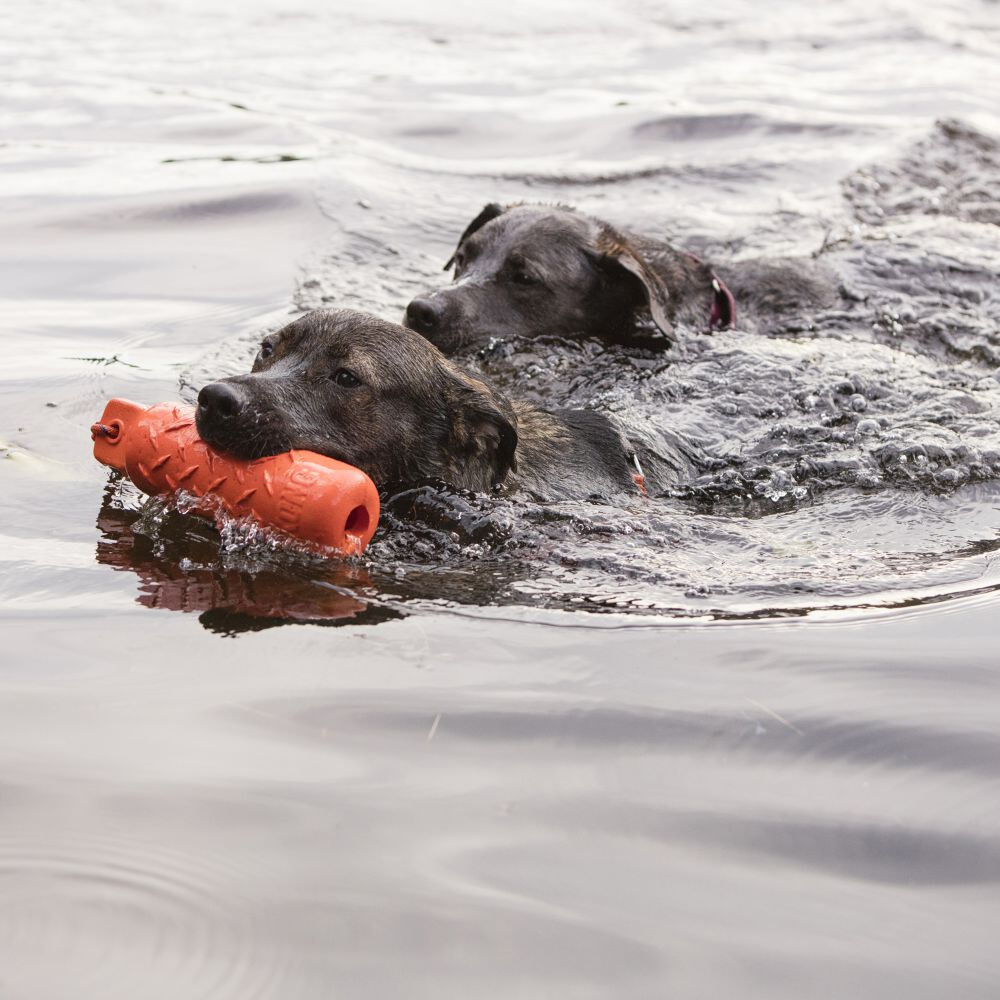 Kong water deals toy
