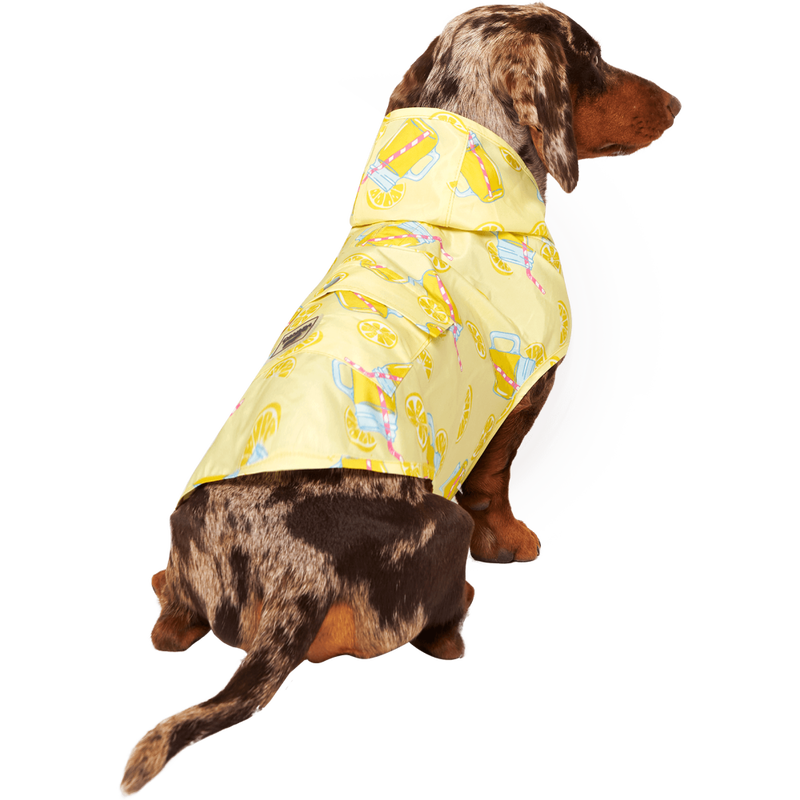 Mud Bay Buy Canada Pooch Pick Me Dog Poncho Lemonade 20 in for