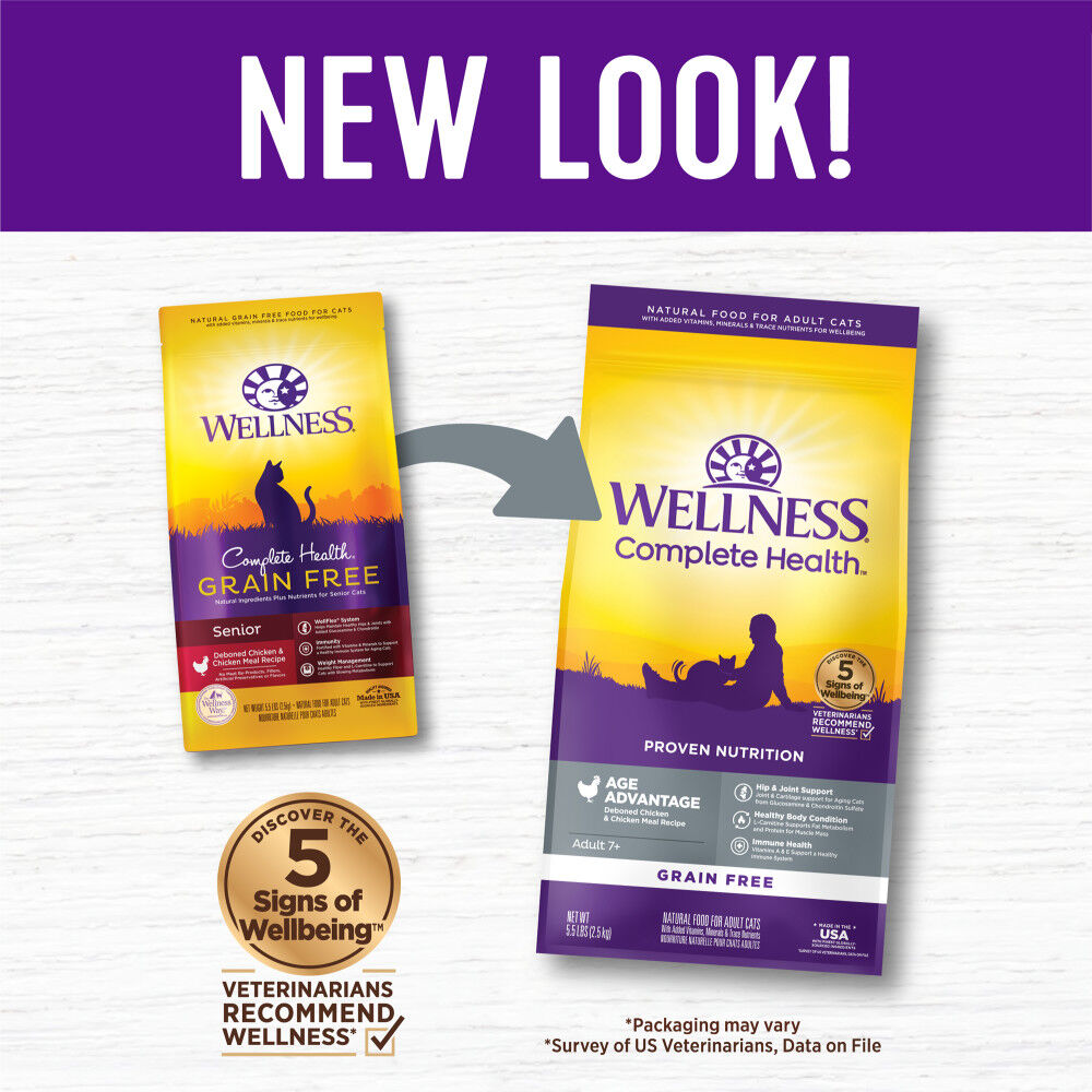 Wellness complete health best sale cat