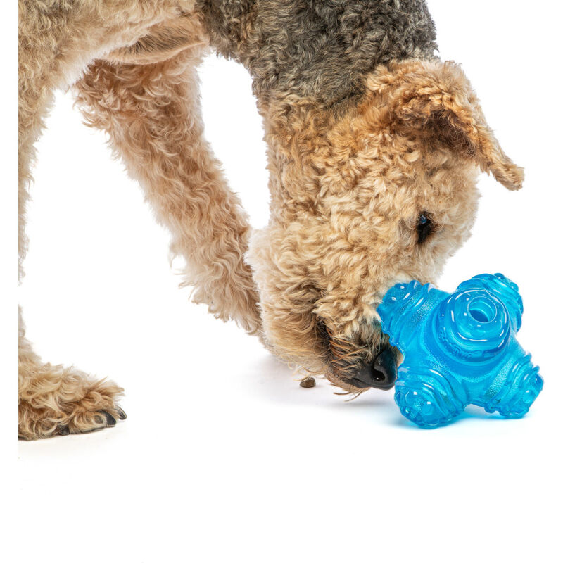 Guru Pet Company Puzzle Jack Dog Toy, Medium image number null