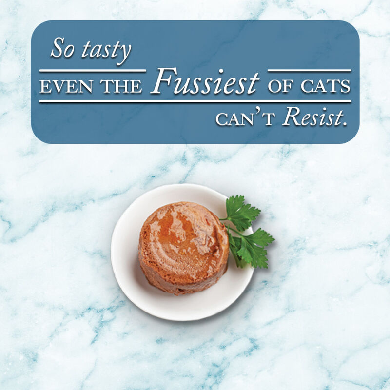 Fussie Cat Fine Dining Pate Canned Cat Food, Tuna & Shrimp, 2.82-oz image number null