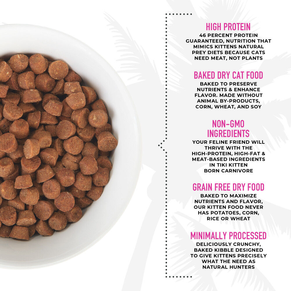 Rice and egg hot sale dry cat food