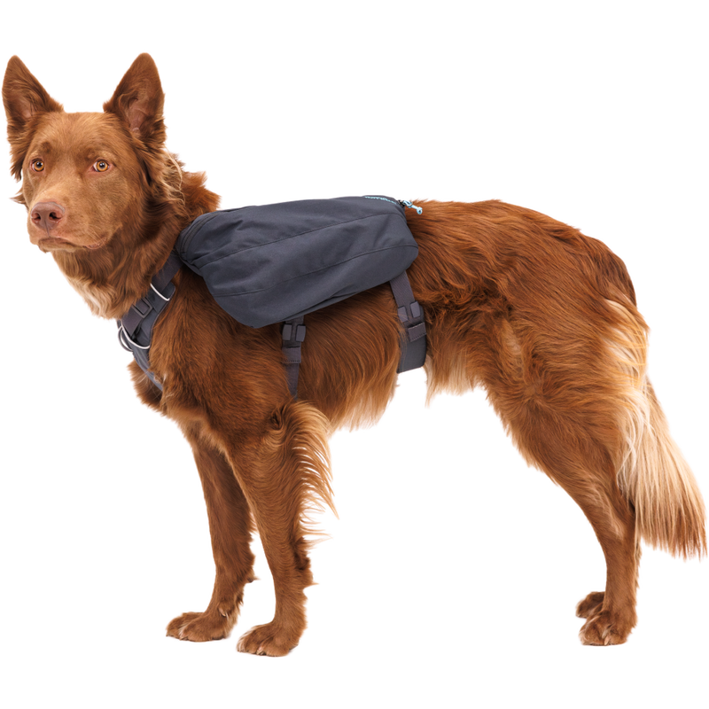 Mud Bay Buy Ruffwear Front Range Dog Day Pack Basalt Gray for USD 69.99 MudBay
