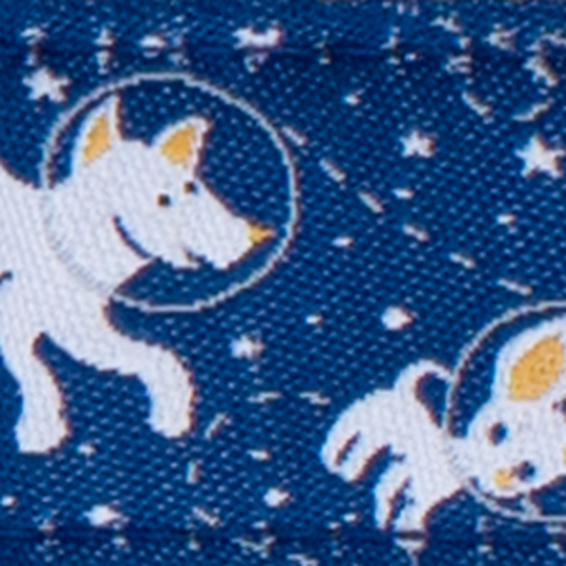 Space dog sale collar