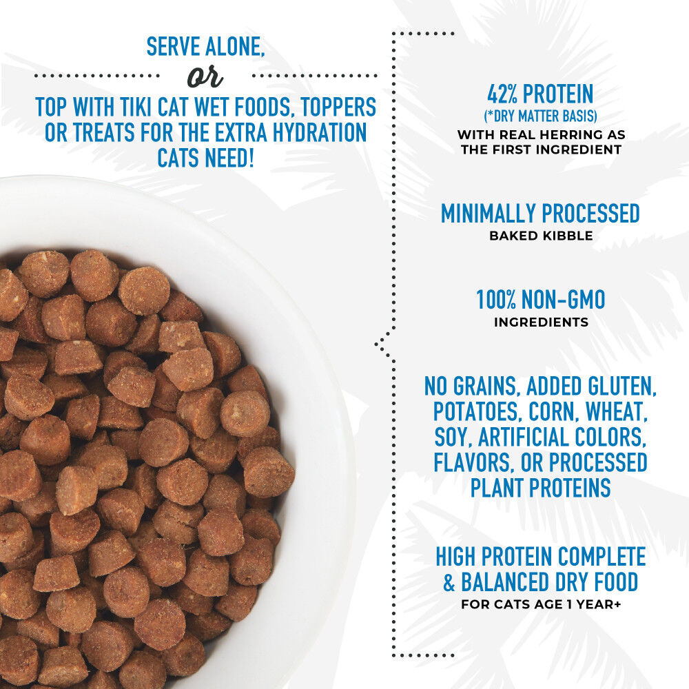 Carnivore cat food online