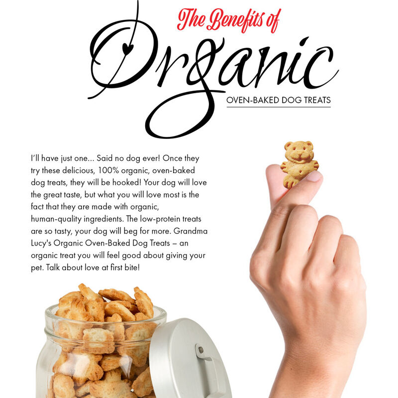 Grandma Lucy's Organic Oven-Baked Dog Treats, Apple, 14-oz image number null