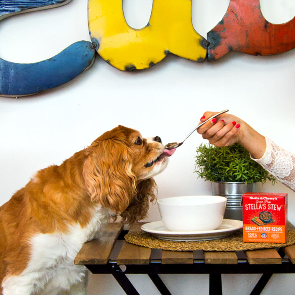 Stella's stew dog food discount