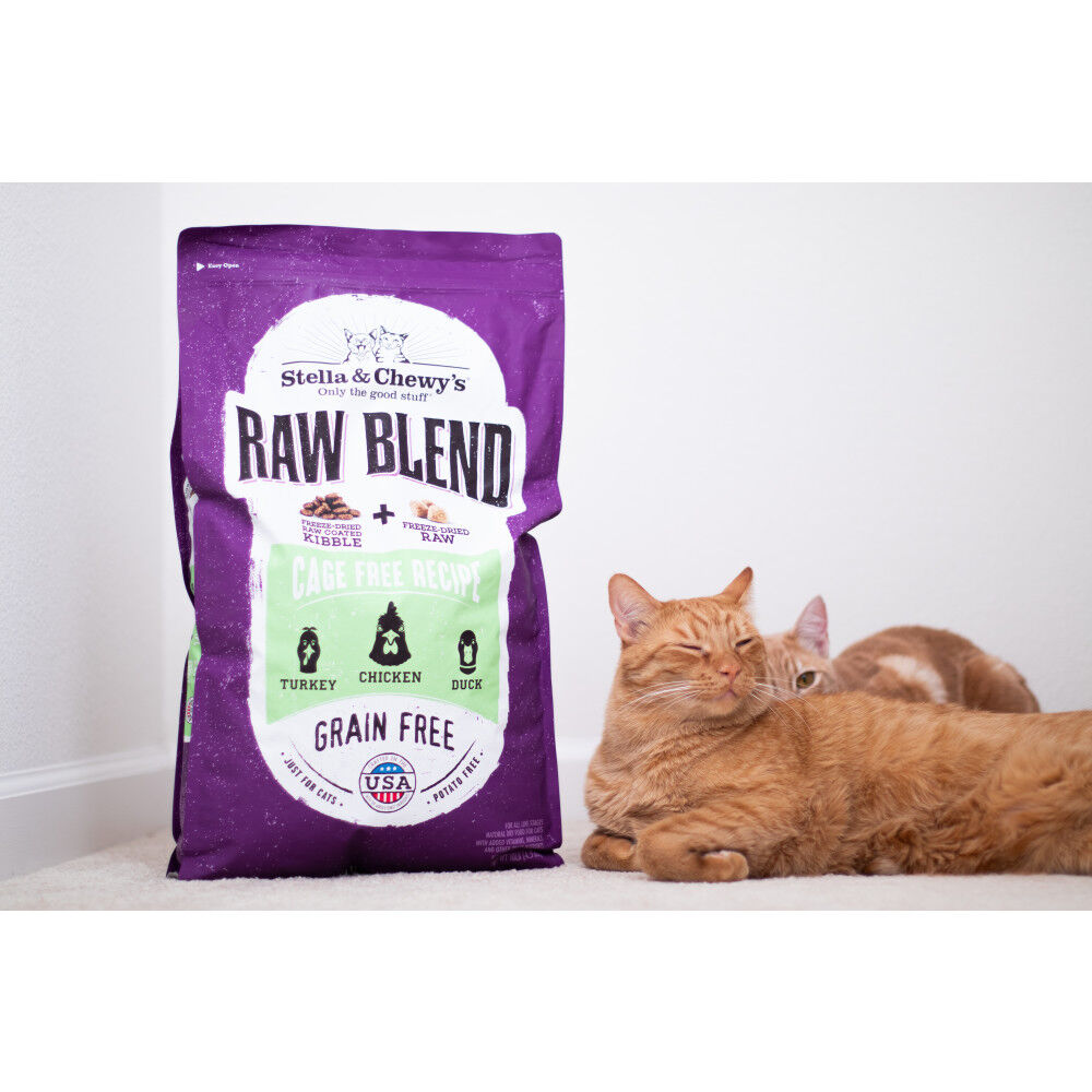 Stella and chewy raw blend for cats new arrivals