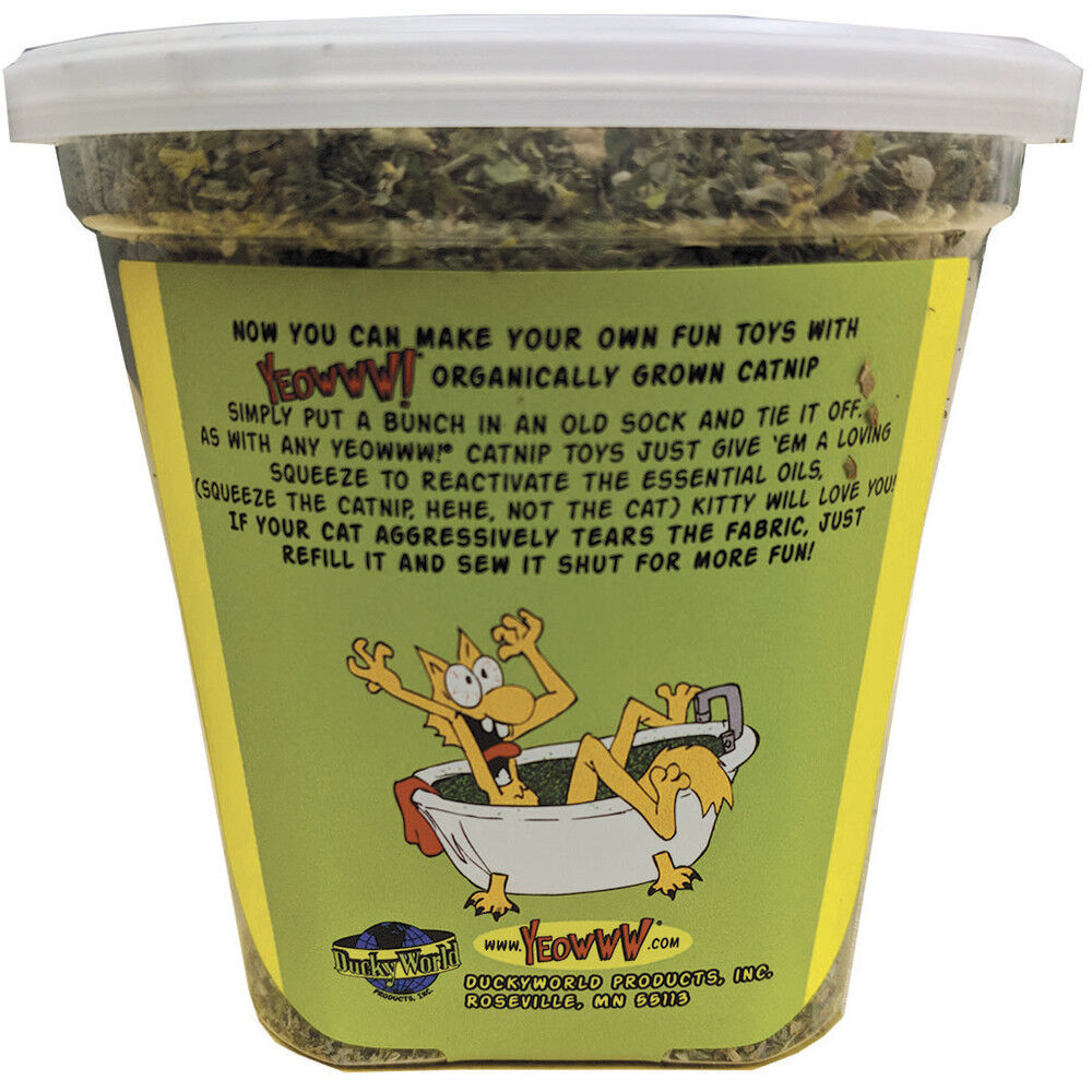 Duckyworld products top