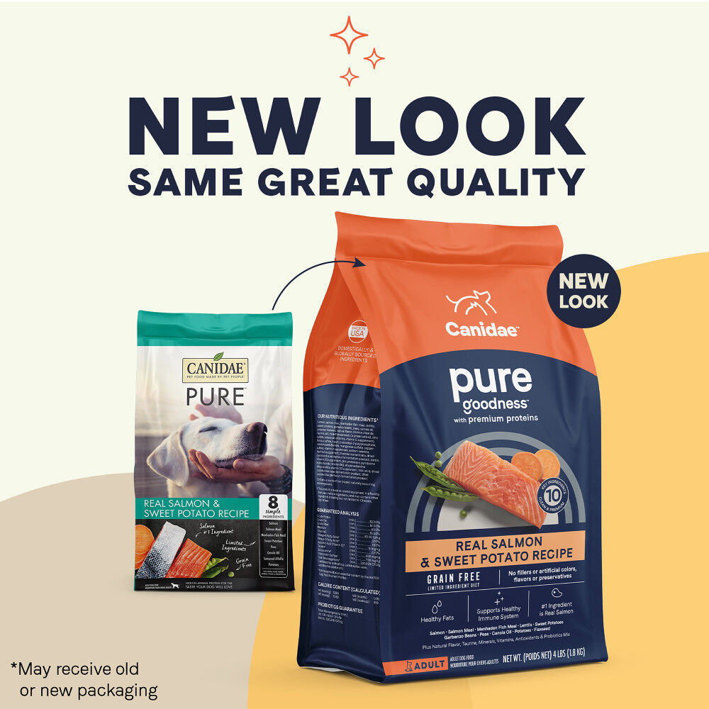 Canidae grain free cat food sales