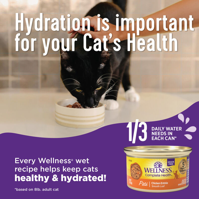 Wellness Complete Health Pate Canned Cat Food, Turkey & Salmon image number null
