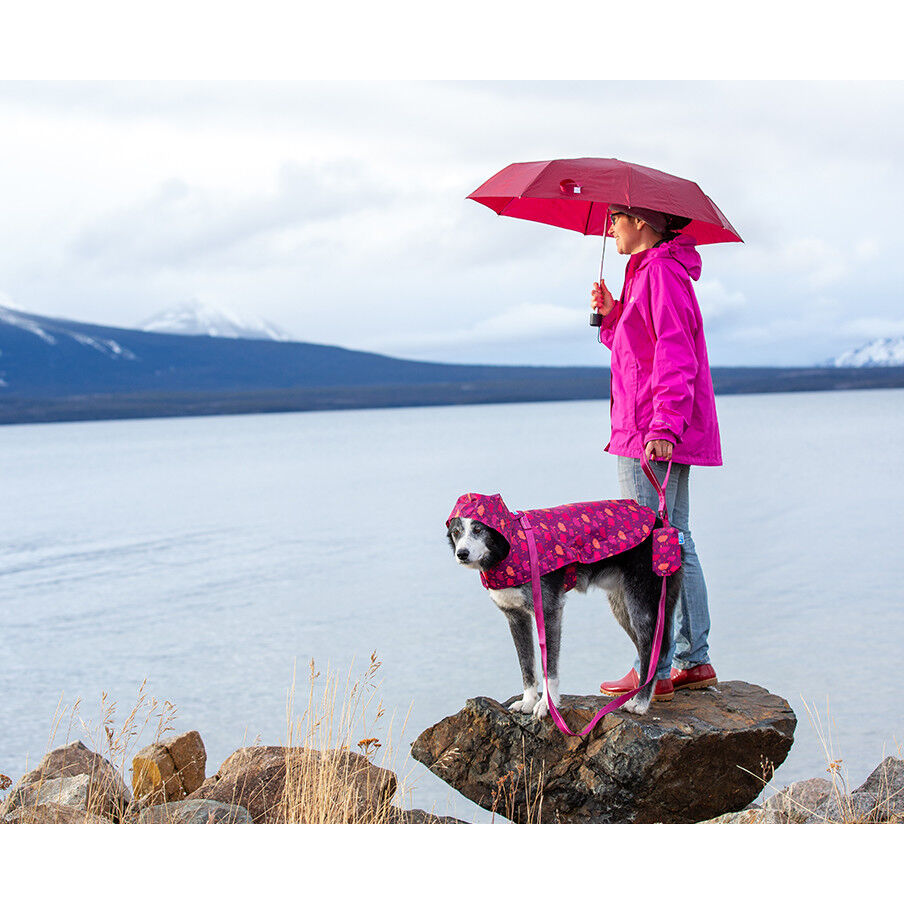 Rc pets poncho top