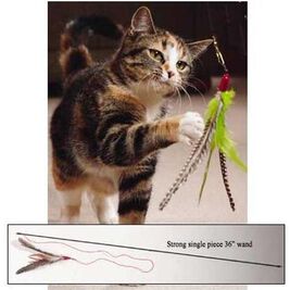 from The Field Freddy's Feather Wand Cat Toy