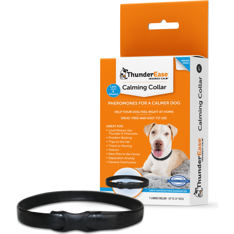 Separation anxiety 2025 dog collar