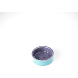 PetRageous Designs Yummy Time! Small Animal Bowl, Blue & Purple, 3.25-in