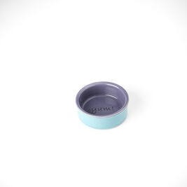 PetRageous Designs Yummy Time! Small Animal Bowl, Blue & Purple, 3.25-in