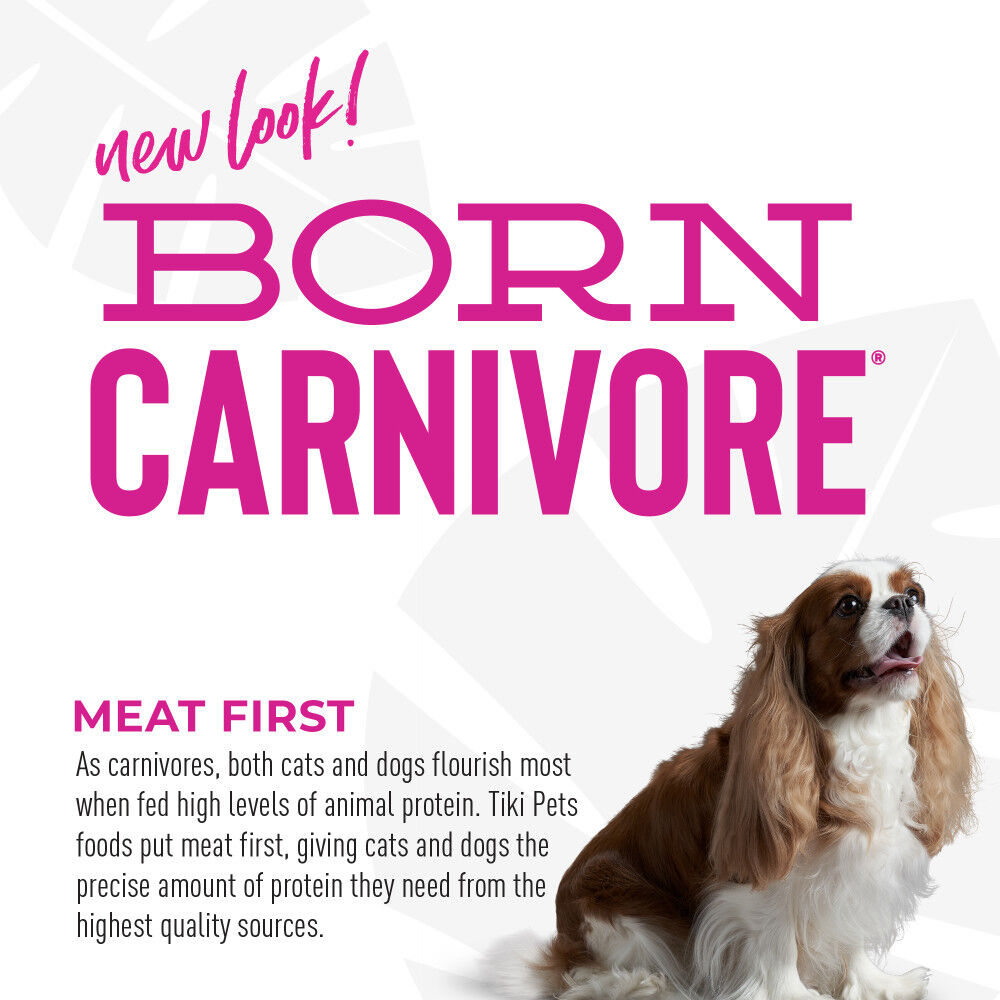 Lamb and store lentil dog food