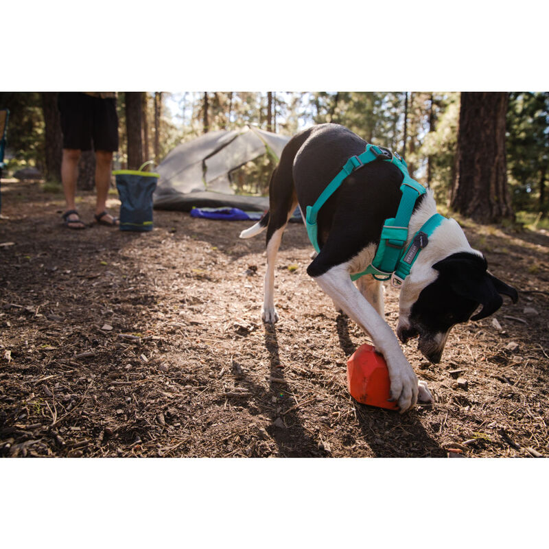 Ruffwear Front Range Dog Harness, Aurora Teal image number null