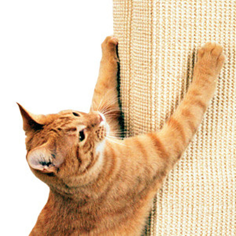 SmartCat The Ultimate Cat Scratching Post, 32-in image number null