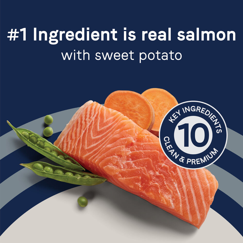 Mud Bay Buy Canidae Pure Grain Free Dry Dog Food Salmon Sweet Potato for N A 0.0 MudBay