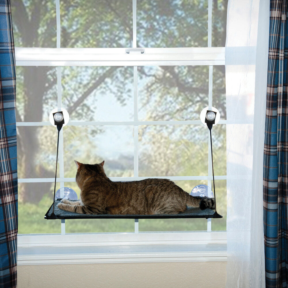 K&h ez window best sale mount