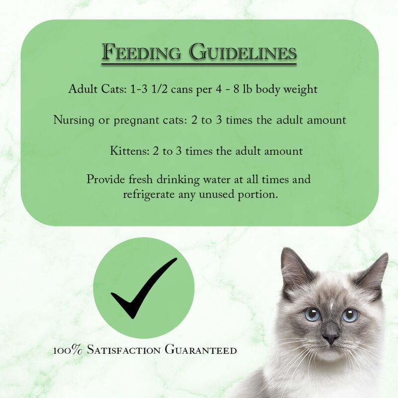 Fussie Cat Fine Dining Pate Canned Cat Food, Oceanfish image number null