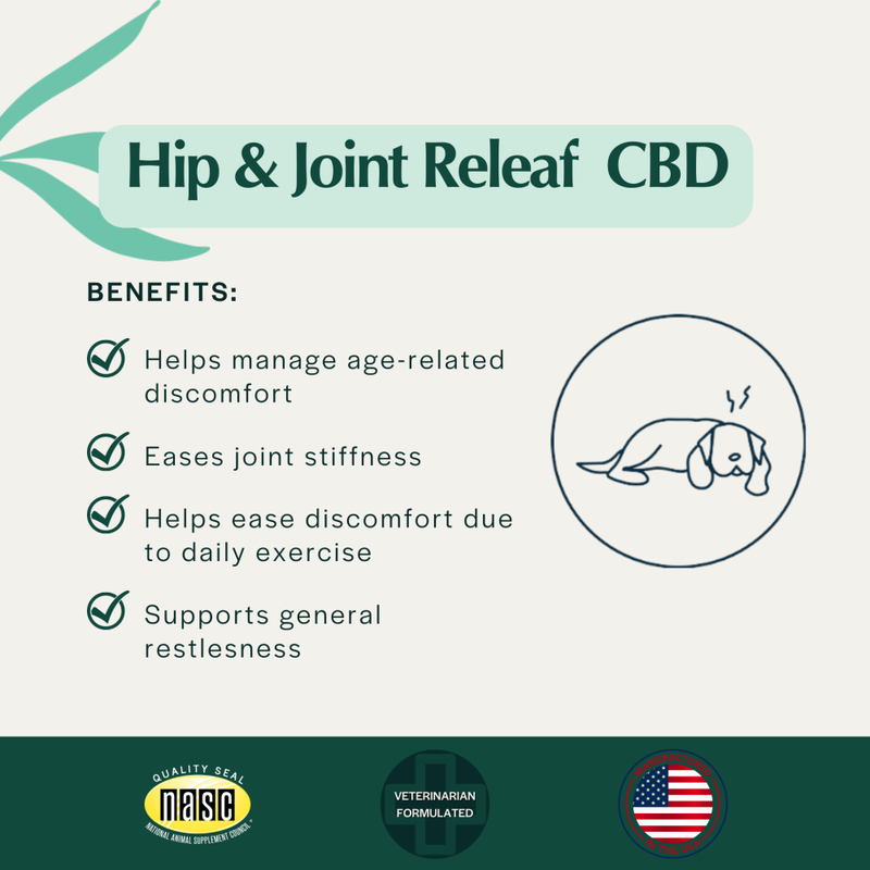 Pet Releaf Hemp Edibites Hip & Joint Releaf Medium to Large Breed Dog Supplement, Peanut Butter & Banana, 7.5-oz image number null