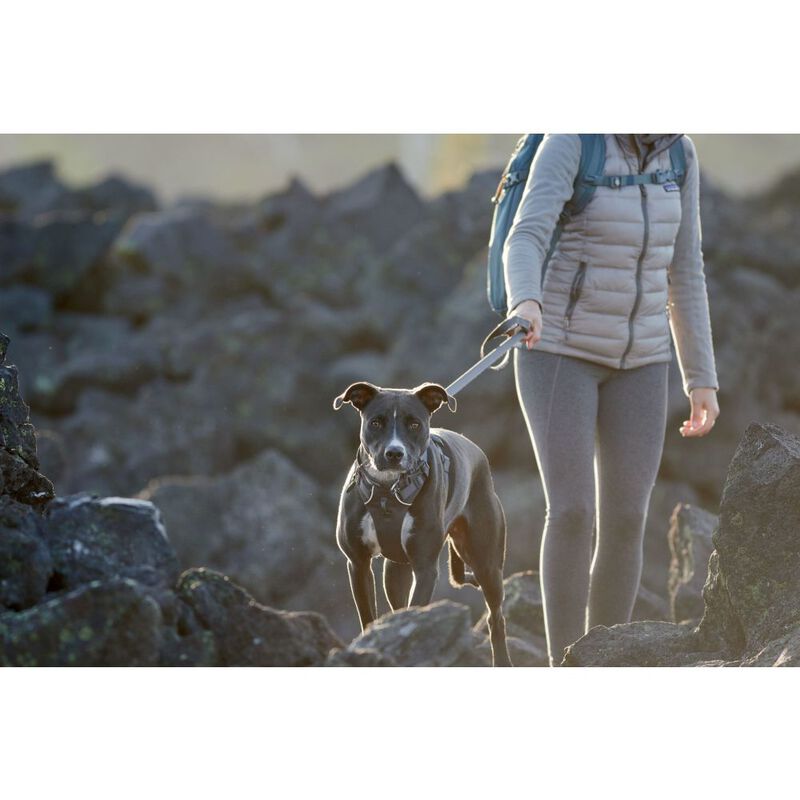 Ruffwear Front Range Dog Harness, Twilight Gray image number null