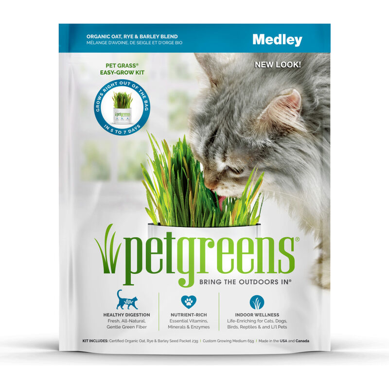 Pet Greens Self-Grow Organic Pet Grass, Medley, Oat Rye Barley, 3-oz image number null