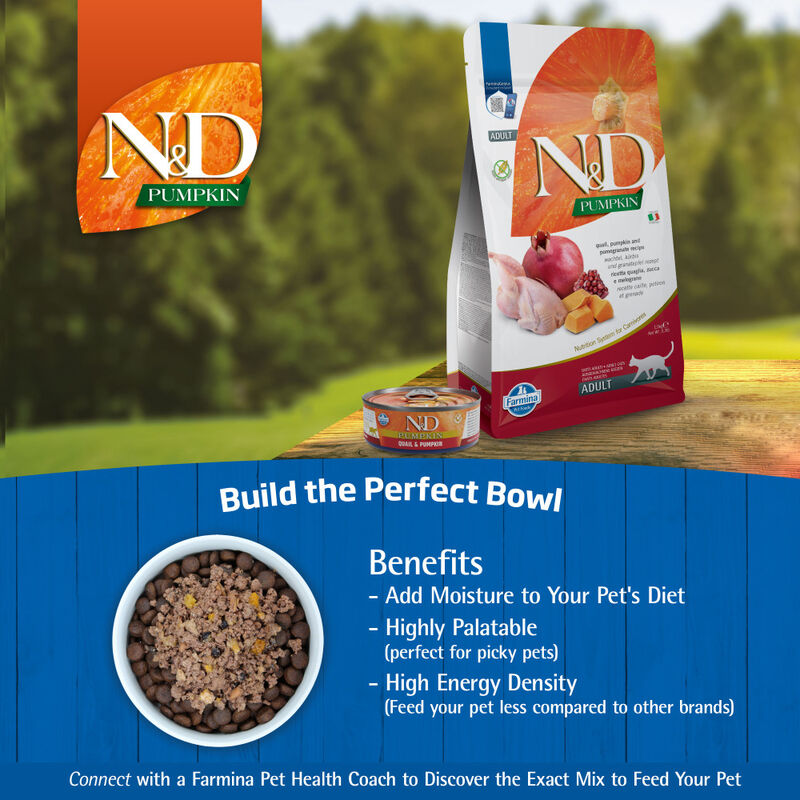 Farmina N&D Pumpkin Canned Cat Food, Quail & Pumpkin, 2.5-oz image number null