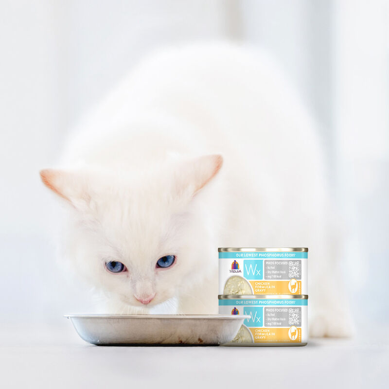 Weruva Wx Canned Cat Food, Chicken in Gravy, 3-oz image number null