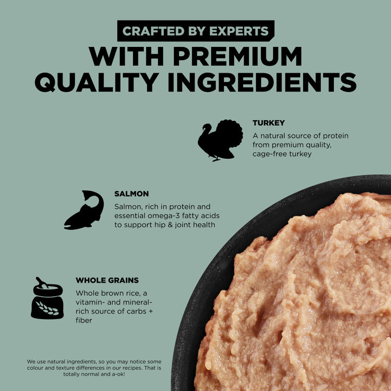 Go! Solutions Skin + Coat Care Wet Dog Food, Turkey Salmon & Grains Pate image number null