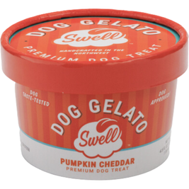 Swell Gelato Frozen Dog Treat, Pumpkin Cheddar, 4-oz
