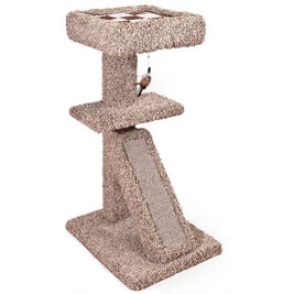 Ware Pet Products Scratch N Nest with Bed Cat Scratcher