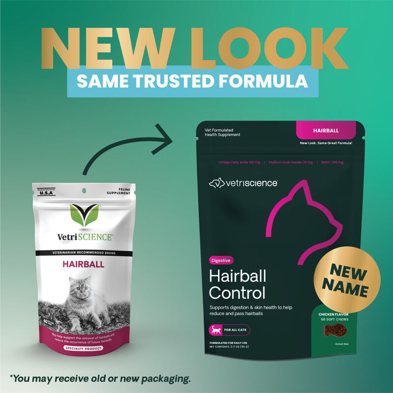 VetriScience Hairball Control Soft Chews Cat Supplement, Chicken, 60-count image number null