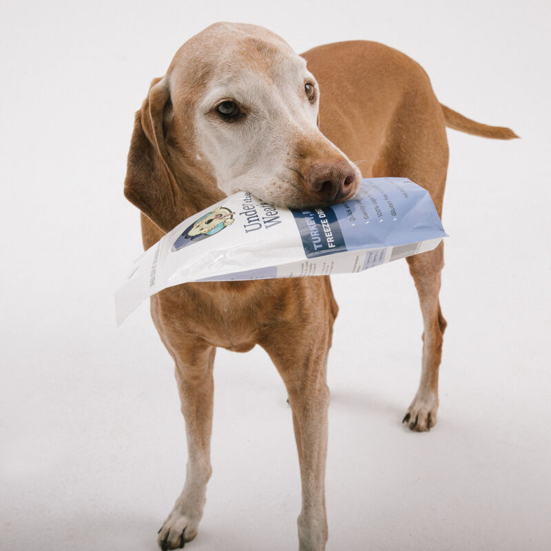 Under the Weather Bland Diet Freeze-Dried Supplemental Dog Food, Rice Turkey & Sweet Potato, 6-oz image number null