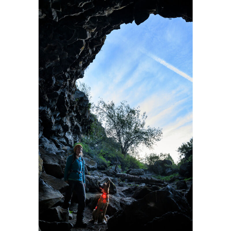 Ruffwear The Beacon Safety Light for Dogs, Clear Lake image number null