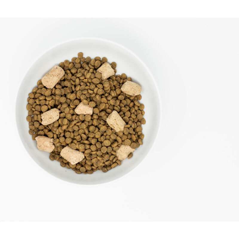 Stella & Chewy's Raw Blend Dry Cat Food, Cage-Free Poultry image number null