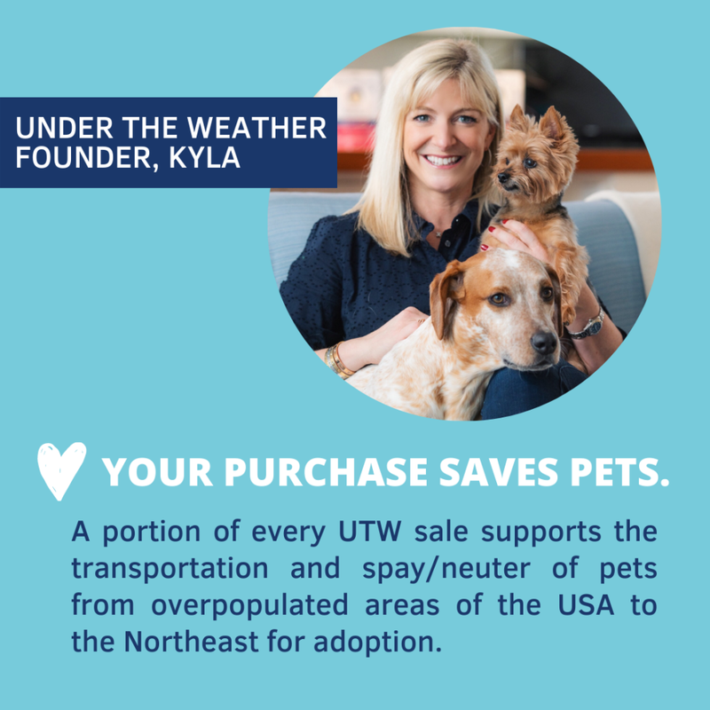 Under the Weather Bland Diet Freeze-Dried Supplemental Dog Food, Rice Turkey & Sweet Potato, 6-oz image number null