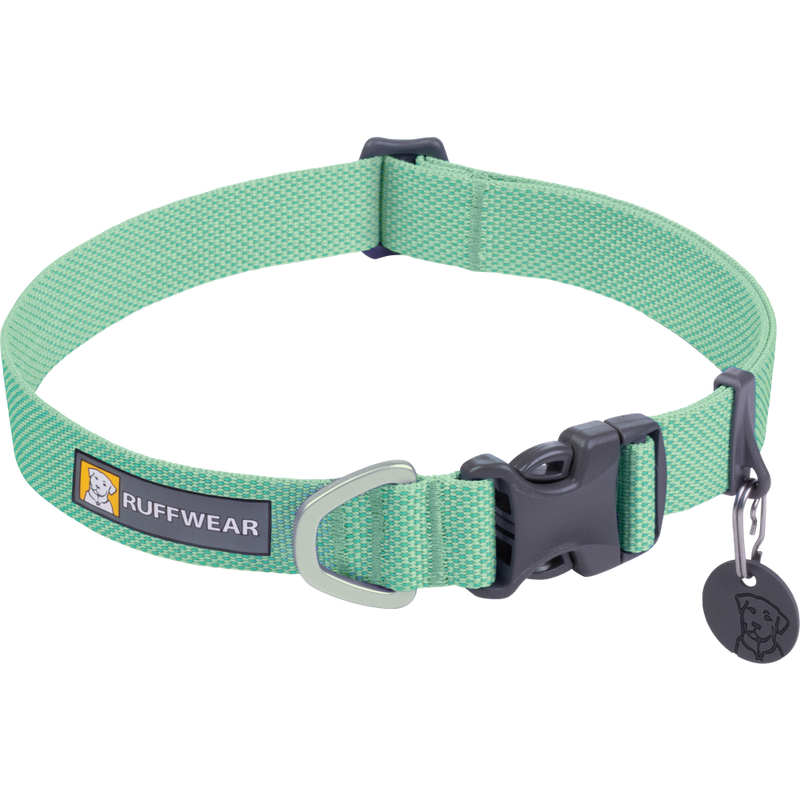 Natural light dog collar 2025