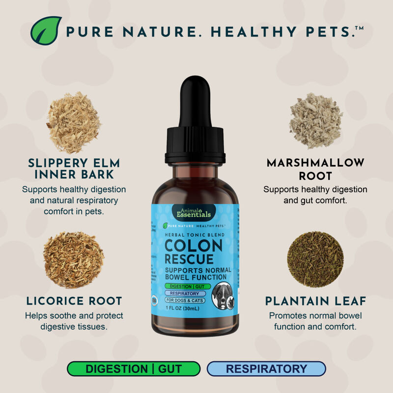 Animal Essentials Colon Rescue Herbal GI Support Dog & Cat Supplement, Liquid, 1-oz image number null