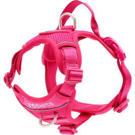 RC Pets Momentum Dog Harness, Azalea, Medium