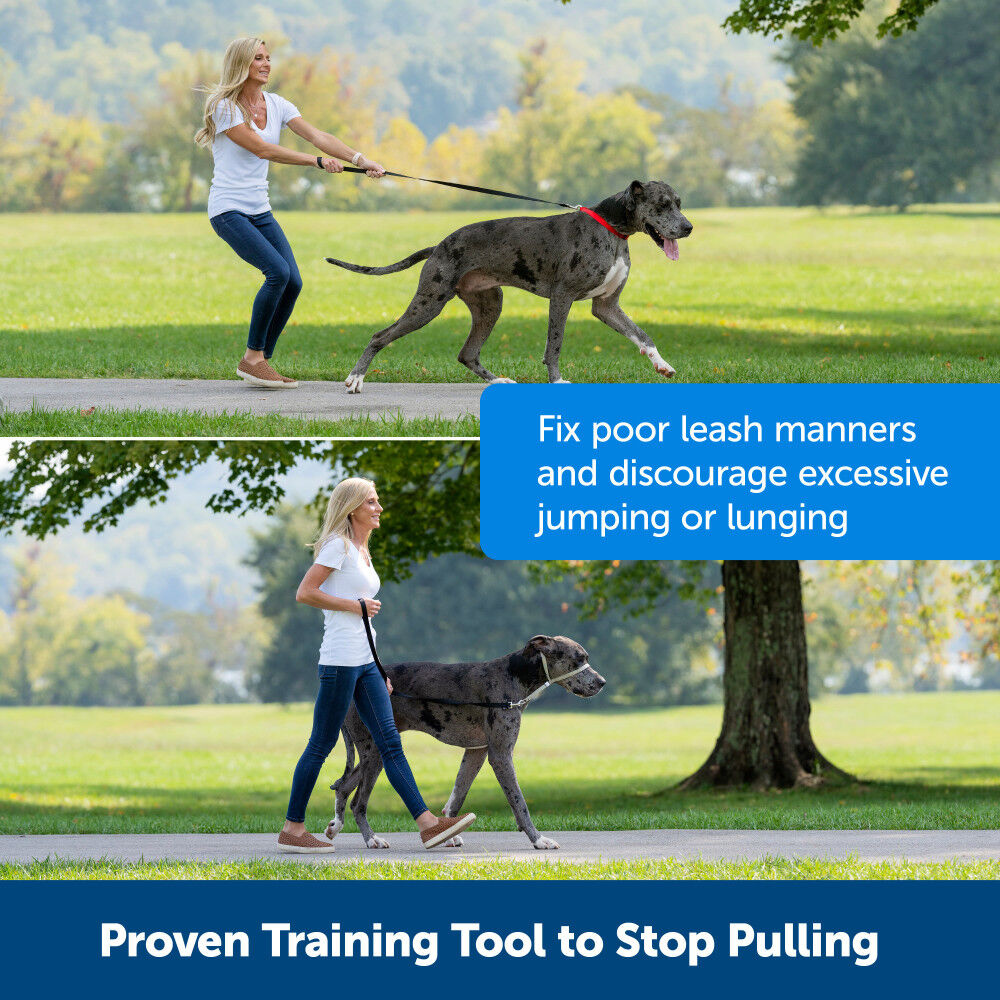 Mud Bay Buy PetSafe Gentle Leader Headcollar No Pull Dog Collar