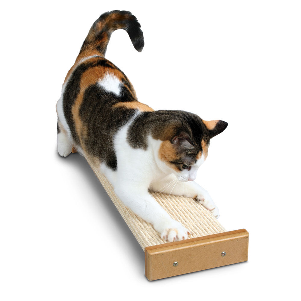 Smartcat scratcher top