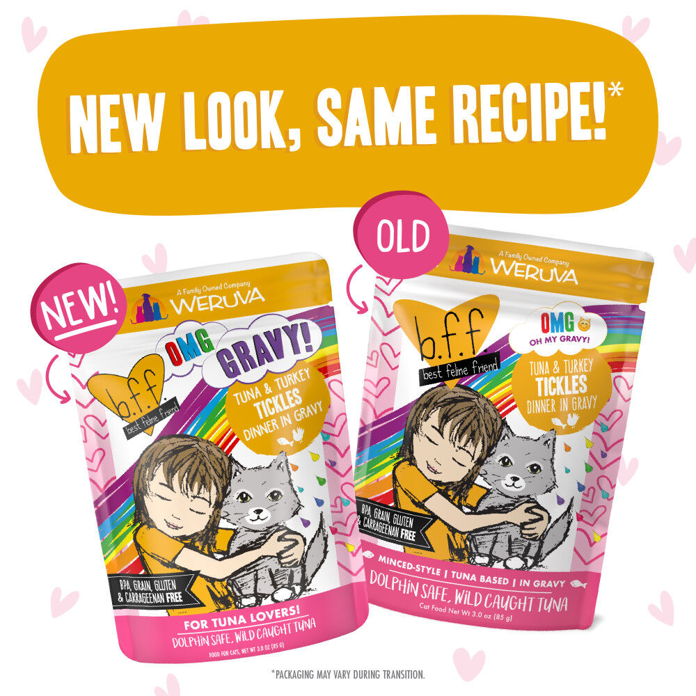 Mud Bay Buy B.F.F. Best Feline Friend OMG Gravy Wet Cat Food
